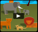 video animais da savana africana